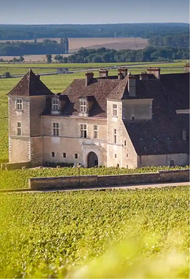 /Clos Vougeot